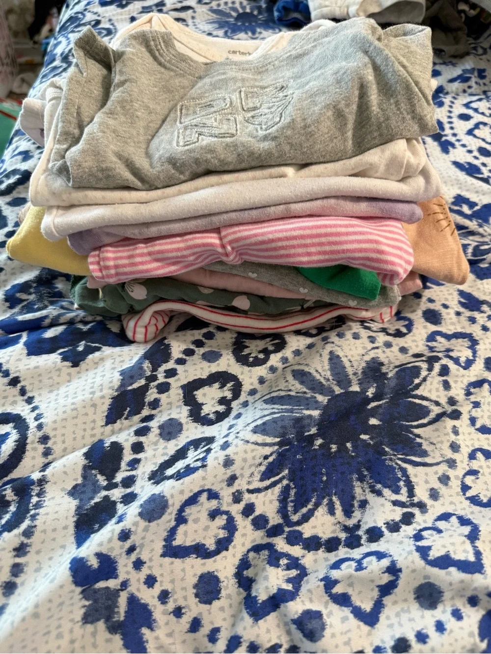 12 Piece 9 Month Baby Girl Bundle